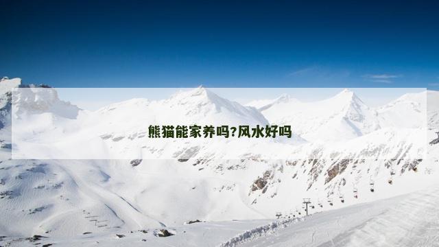 熊猫能家养吗?风水好吗