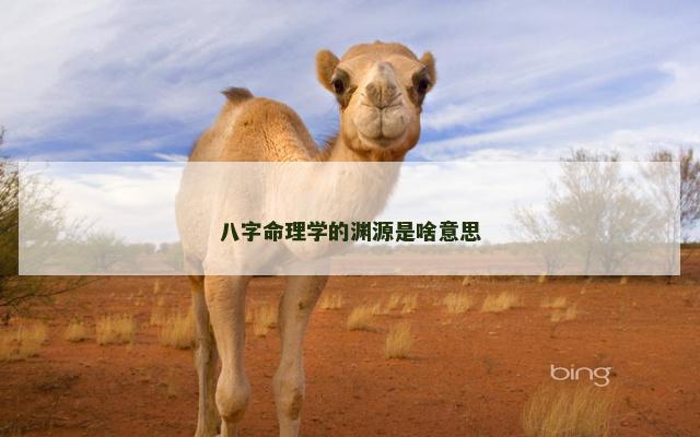 八字命理学的渊源是啥意思