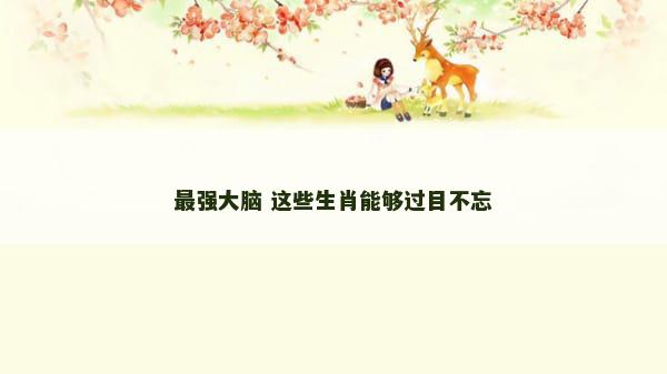 最强大脑 这些生肖能够过目不忘