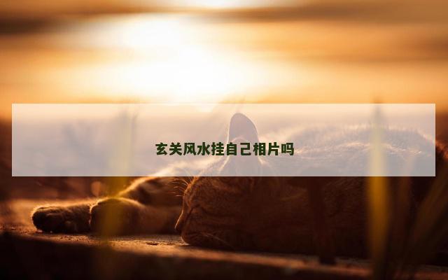 玄关风水挂自己相片吗