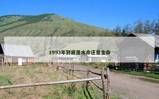 1993年到底是水命还是金命