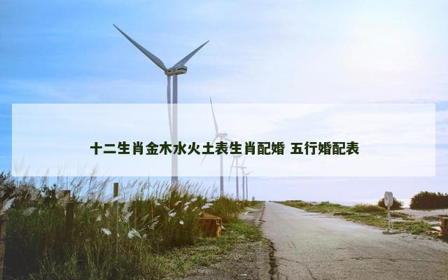 十二生肖金木水火土表生肖配婚 五行婚配表