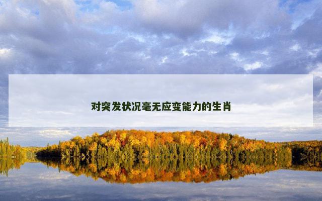 对突发状况毫无应变能力的生肖