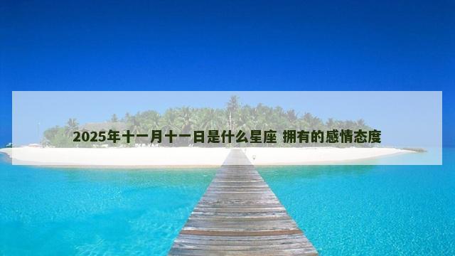 2025年十一月十一日是什么星座 拥有的感情态度