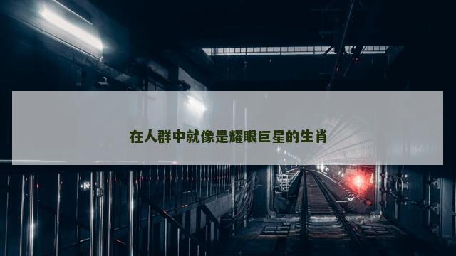 在人群中就像是耀眼巨星的生肖