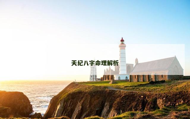 天纪八字命理解析