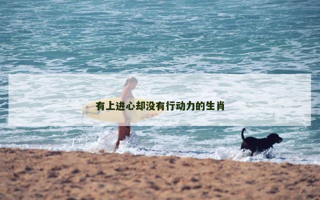 有上进心却没有行动力的生肖