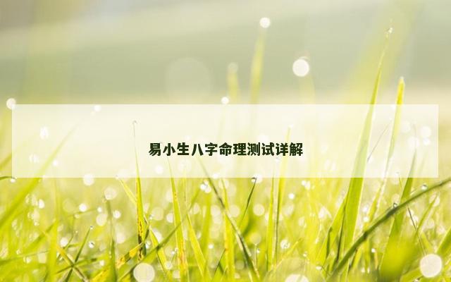 易小生八字命理测试详解