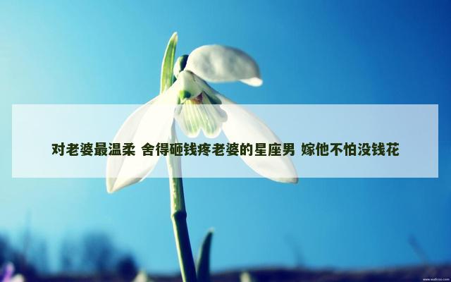 对老婆最温柔 舍得砸钱疼老婆的星座男 嫁他不怕没钱花