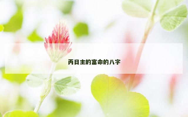 丙日主的富命的八字 丙日主的富命的八字