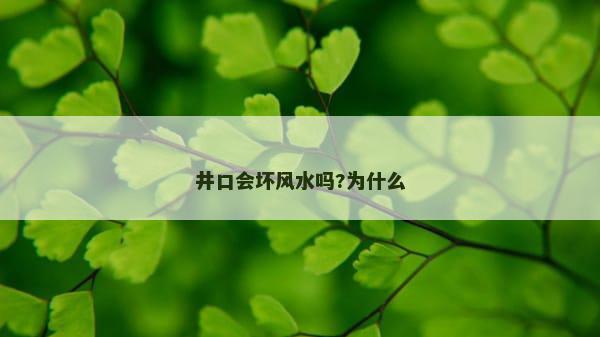 井口会坏风水吗?为什么