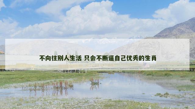 不向往别人生活 只会不断逼自己优秀的生肖