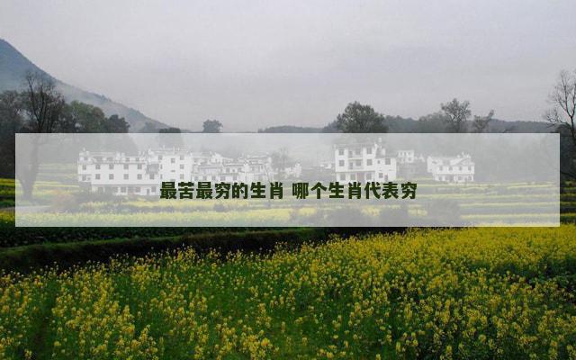 最苦最穷的生肖 哪个生肖代表穷