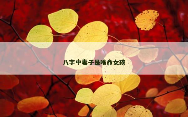 八字中妻子是啥命女孩