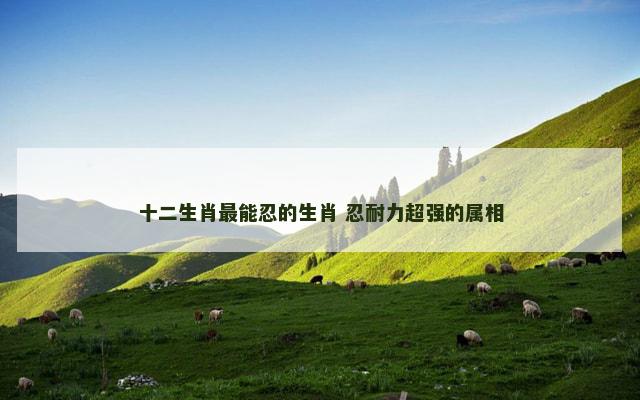 十二生肖最能忍的生肖 忍耐力超强的属相