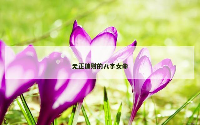 无正偏财的八字女命