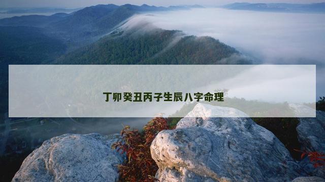 丁卯癸丑丙子生辰八字命理