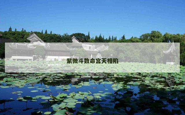 紫微斗数命宫天相陷