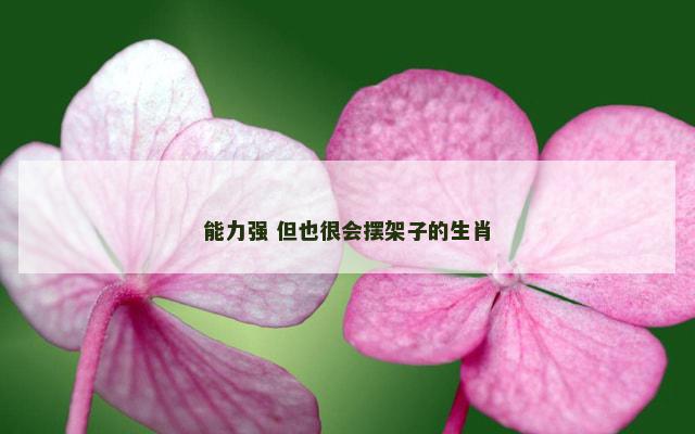 能力强 但也很会摆架子的生肖