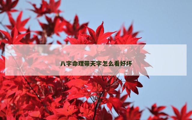 八字命理带天字怎么看好坏