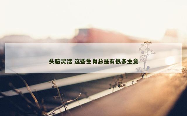 头脑灵活 这些生肖总是有很多主意