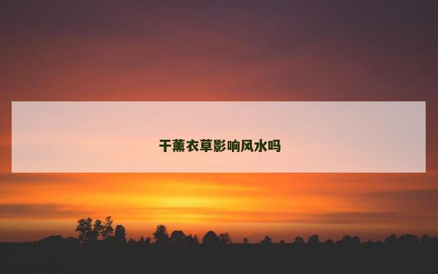 干薰衣草影响风水吗