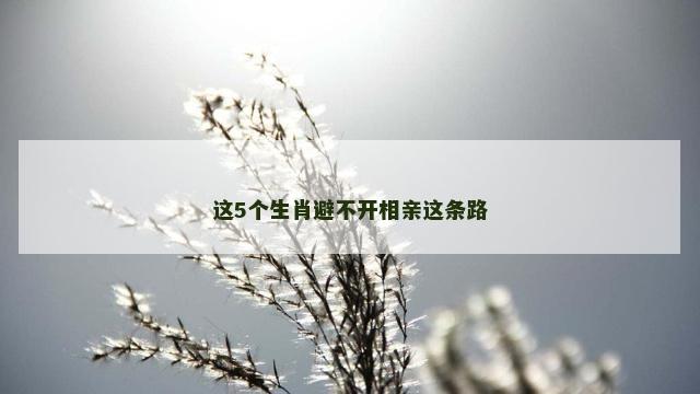 这5个生肖避不开相亲这条路