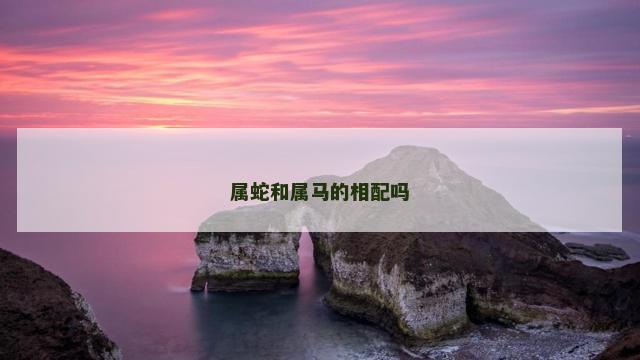 属蛇和属马的相配吗
