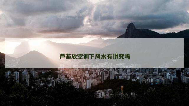 芦荟放空调下风水有讲究吗