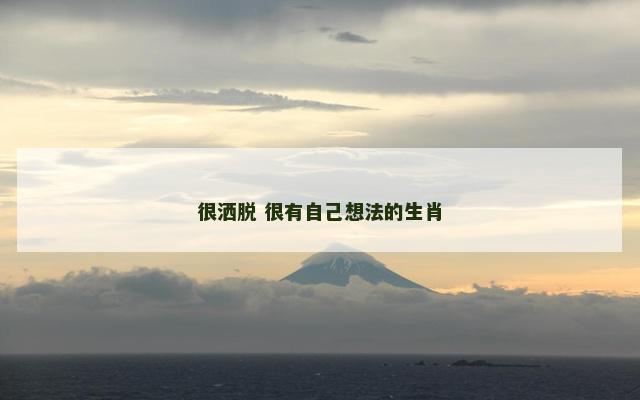 很洒脱 很有自己想法的生肖