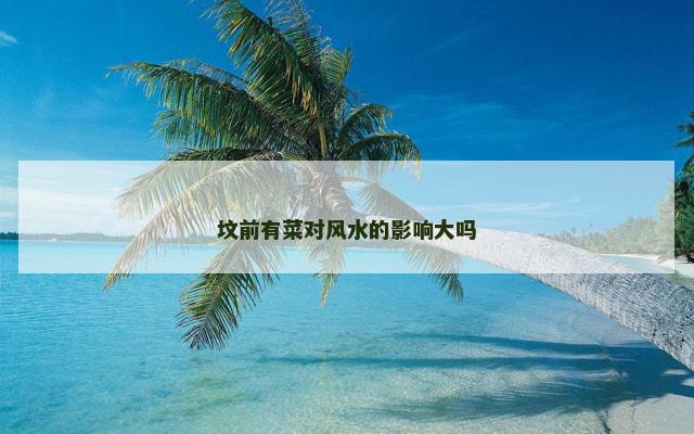 坟前有菜对风水的影响大吗