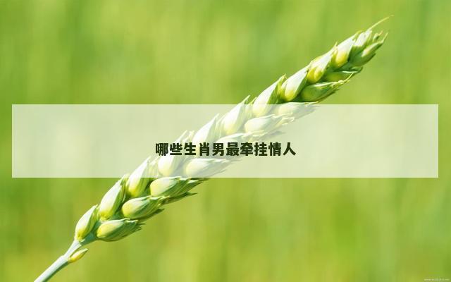 哪些生肖男最牵挂情人