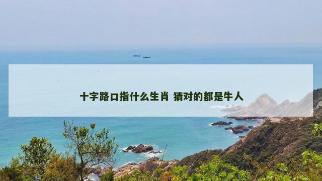 十字路口指什么生肖 猜对的都是牛人