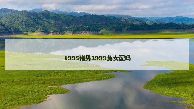 1995猪男1999兔女配吗