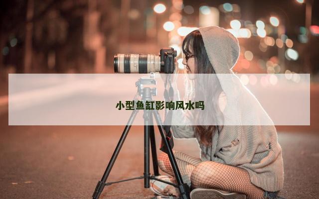 小型鱼缸影响风水吗
