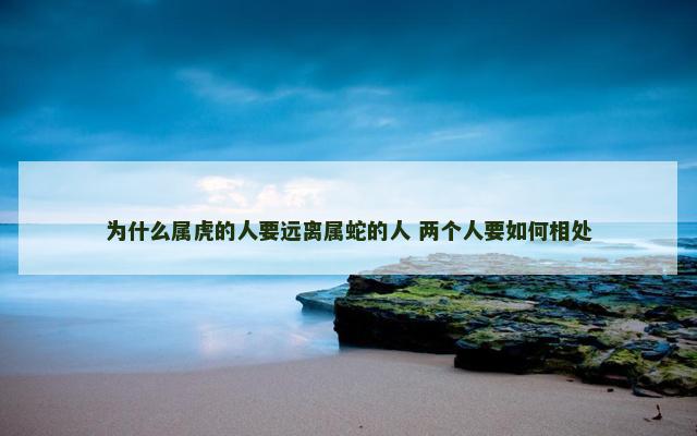 为什么属虎的人要远离属蛇的人 两个人要如何相处