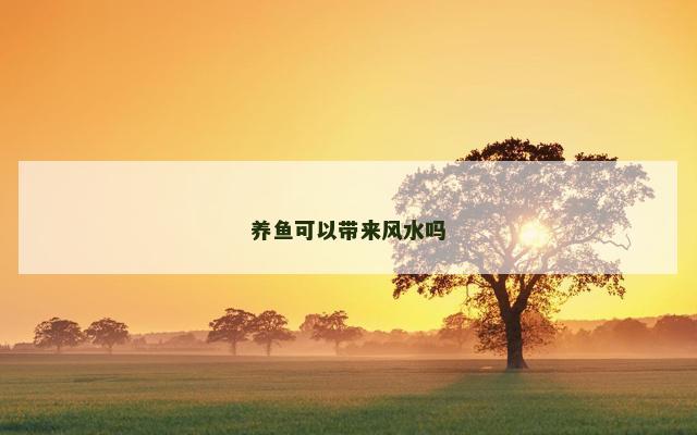 养鱼可以带来风水吗