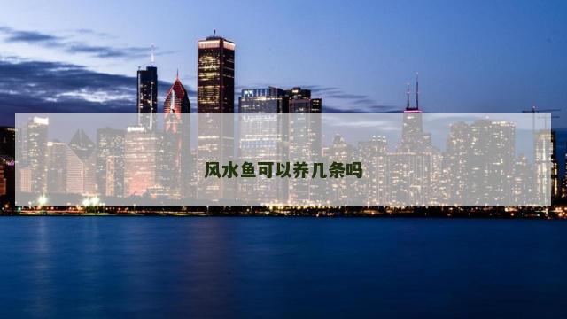 风水鱼可以养几条吗