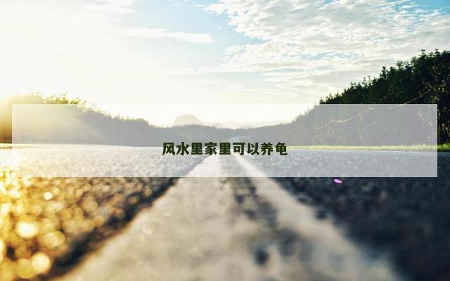 风水里家里可以养龟