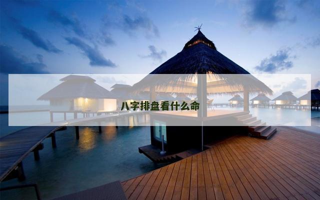八字排盘看什么命