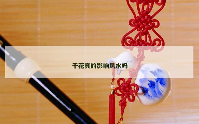 干花真的影响风水吗