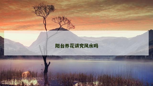阳台养花讲究风水吗