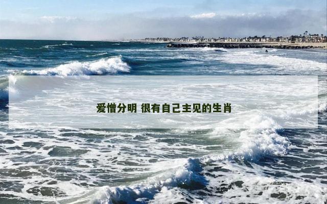 爱憎分明 很有自己主见的生肖