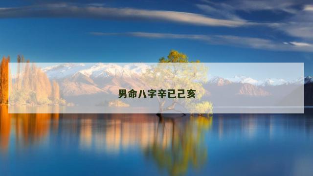 男命八字辛已己亥
