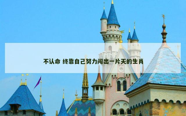 不认命 终靠自己努力闯出一片天的生肖