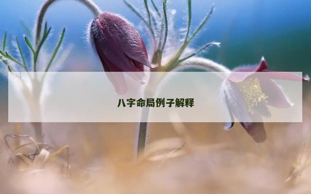 八字命局例子解释