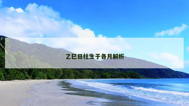 乙巳日柱生于各月解析