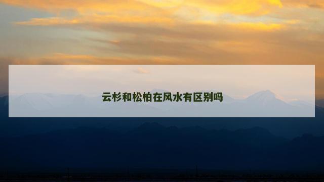 云杉和松柏在风水有区别吗