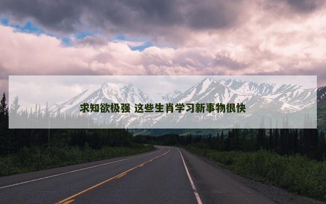 求知欲极强 这些生肖学习新事物很快