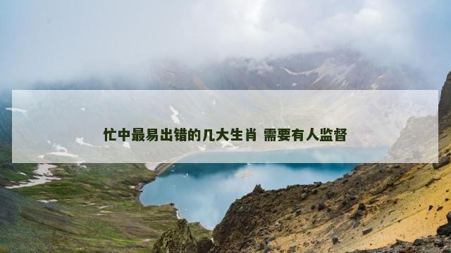 忙中最易出错的几大生肖 需要有人监督